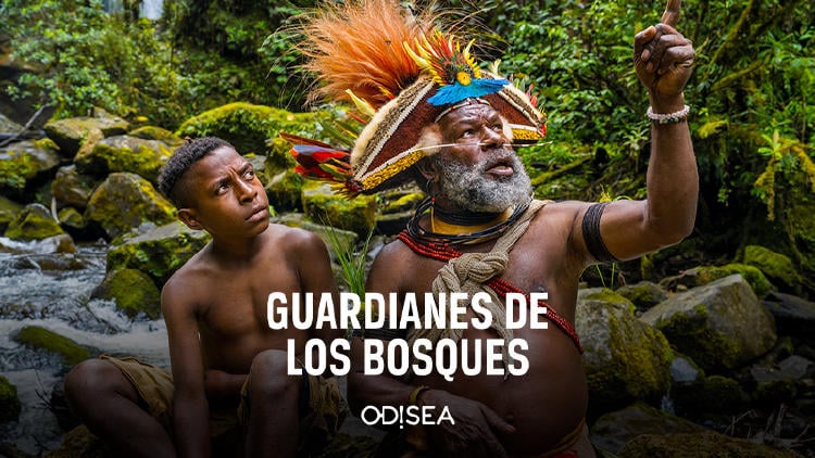 destacados television R marzo guardianes bosques odisea Guardianes de los bosques en Odisea