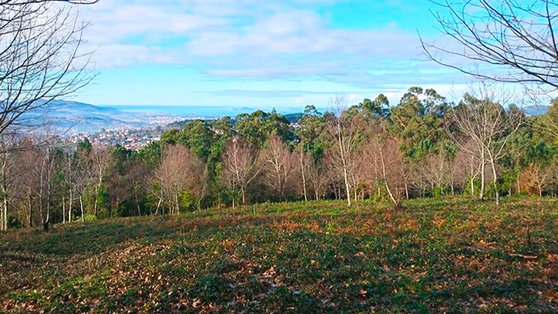 rutas vigo sendero candean