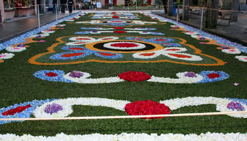 Imagen de una alfombra floral en Ponteareas