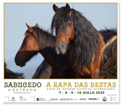 programa rapa das bestas 2023 cartel Programa de la Rapa das bestas Sabucedo 2023