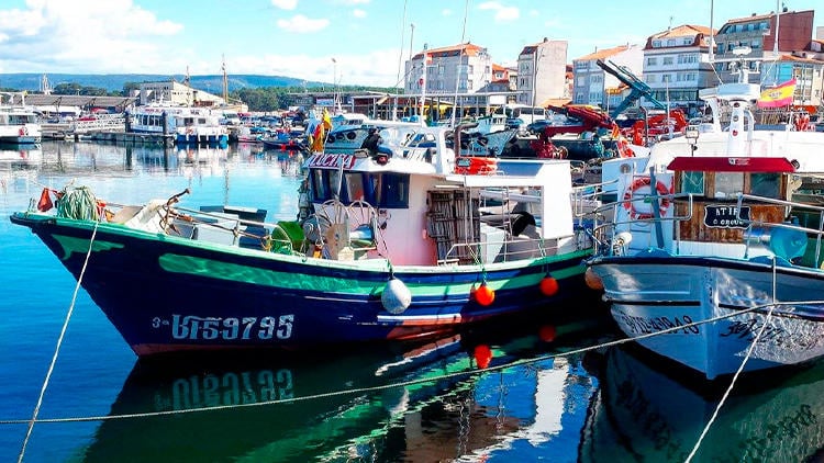 que ver y hacer en o grove puerto lonja Puerto y lonja de O Grove