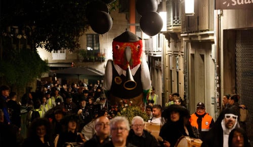 carnaval_pontevedra carnaval_pontevedra