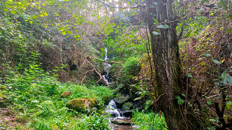 rutas senderismo coruna sisalde rutas senderismo coruna sisalde