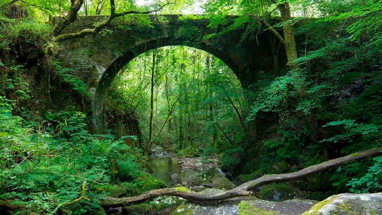 rutas fragas eume natureza rutas fragas eume natureza