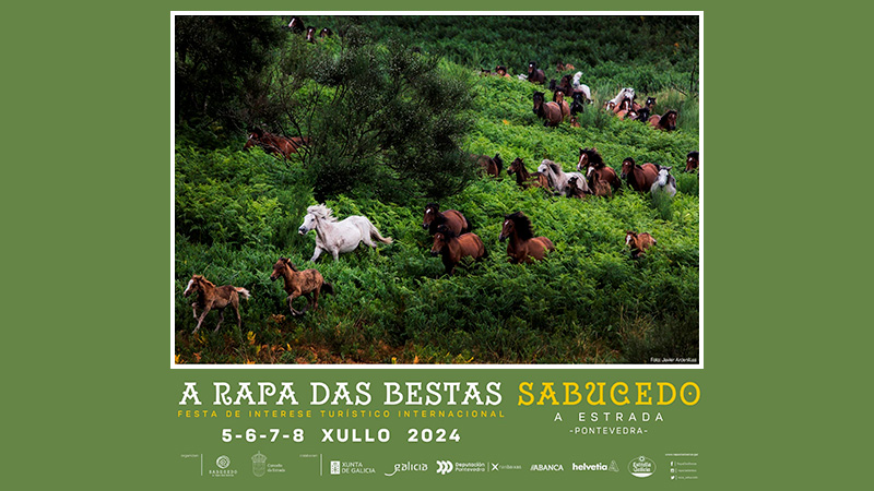 Programa de la Rapa das bestas 2024 de Sabucedo