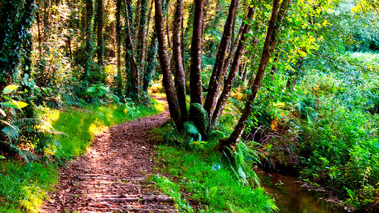 rutas senderismo coruna xesteiras rutas senderismo coruna xesteiras