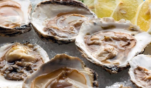 fiesta ostra arcade Fiesta de la Ostra de Arcade