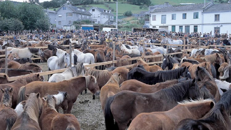 Fiesta de San Lucas en Mondoñedo