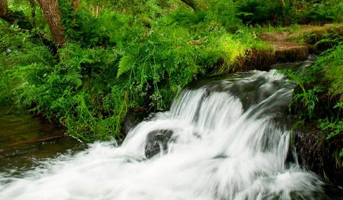rio gafos Río Gafos
