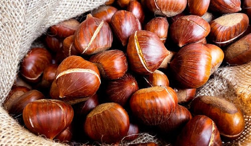 magostos en ourense Magostos en Ourense