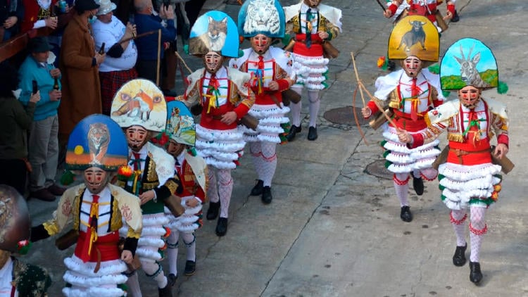 carnaval laza peliqueiros Peliqueiros Las peculiaridades del Carnaval de Laza son lo que hacen esta fiesta tan popular. Pero todo tiene una historia. El lunes de Carnaval, día grande de la fiesta, desde primera hora de la mañana comienza la Farrapada, que consiste en lanzarse unos a otros el \"bulleiro\", trapos mezclados con barro. Hay que ir preparado, porque es un combate donde no hay reglas ni amigos, solo se intenta no lanzarlos a la cara (y no siempre es posible). Tras esa “batalla campal” de todos contra todos le sigue la “Gitanada de los Burros\", que consiste en que unos vecinos disfrazados, antes de gitanos y ahora más bien de flamencos, se paseen con carros o a lomos de burros en el medio de la plaza parando la pelea y llamando a la calma. Por la tarde se lleva a cabo la “Bajaba de la Morena y de las Hormigas” donde un vecino con una cabeza de madera en forma de vaca encabezará el séquito. Simboliza la llegada de la primavera y el recibimiento consiste en arrojar, literalmente, tierra, harina y hormigas vivas a todo el mundo. El resultado ya lo puedes imaginar. El día triste del Carnaval de Laza