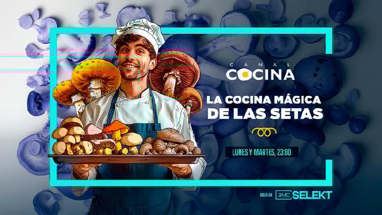 destacados television R marzo cocina magica setas canal cocina La cocina mágica de las setas en Canal Cocina