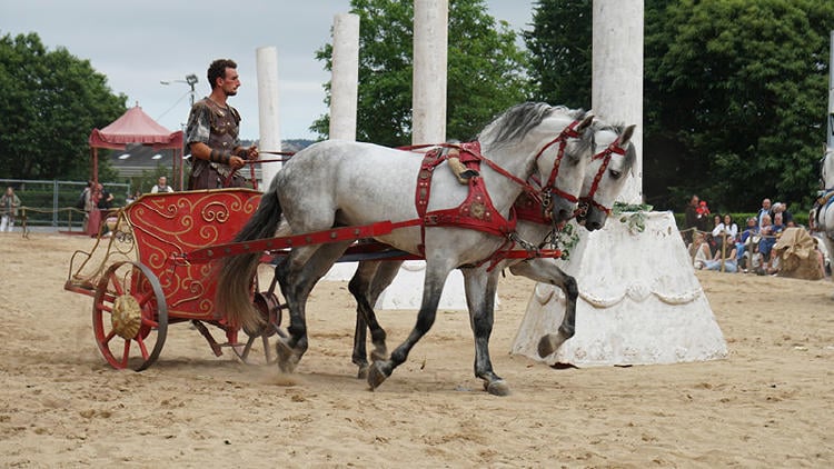 arde lucus actividades circo romano Arde Lucus, circo romano
