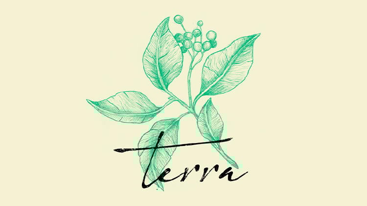 restaurante estrellas michelin galicia terra Todos los restaurantes gallegos con Estrella Michelin