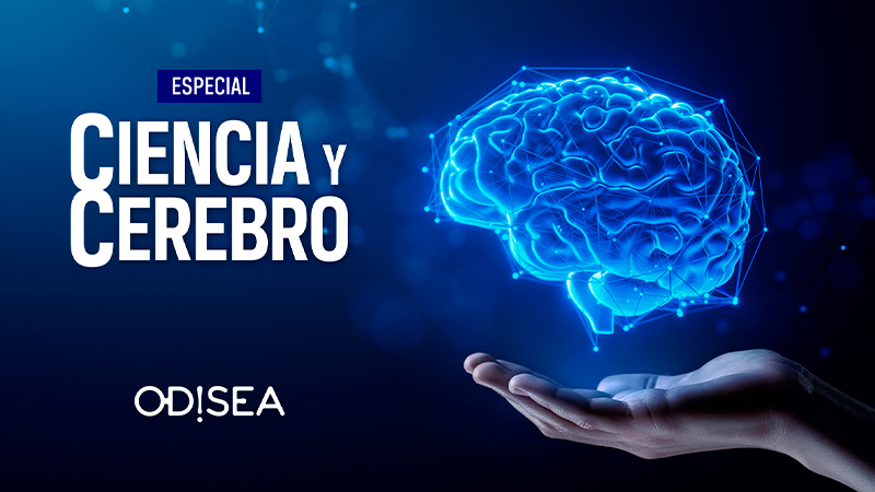 Especial Ciencia y cerebro en Odisea en abierto