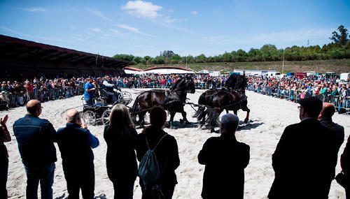 fiestas ascension santiago actividades caballos Feria Cabalar Fiestas de la Ascensión de Santiago de Compostela
