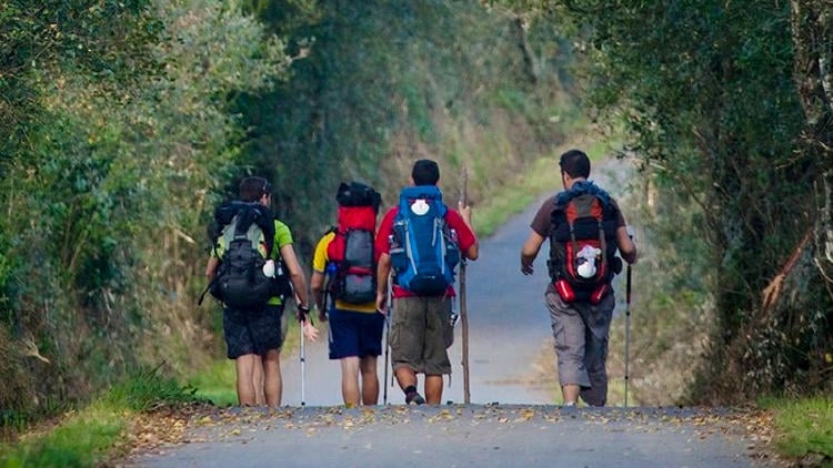 Camino de Santiago de Compostela