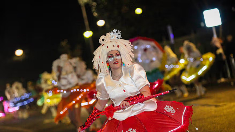 Carnaval Vigo desfile