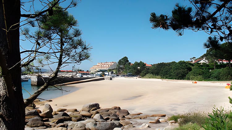 playas perros galicia portiño grove playas perros galicia portiño grove