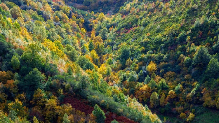 montañas de galicia os ancares