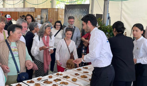 festa do choco redondela Festa do Choco Redondela