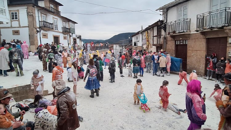 carnaval laza farrapada hormigas Hormigas del Carnaval de Laza