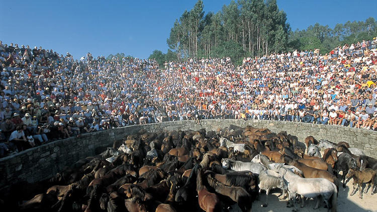 rapa das bestas origen El origen de A Rapa das bestas