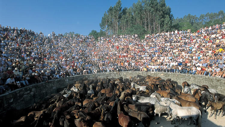 El origen de A Rapa das bestas