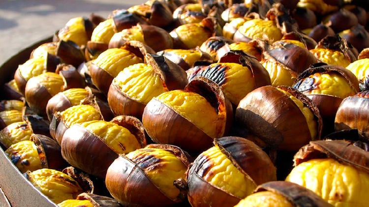 magosto galicia castanas Magosto en Galicia castañas
