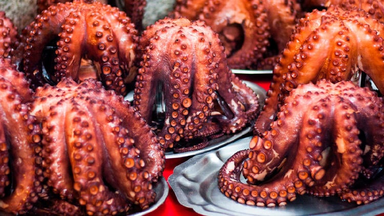 furanchos galicia pulpo furanchos galicia pulpo