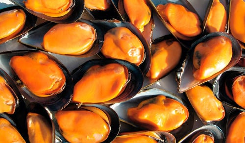 barco de los mejillones Barco de los mejillones