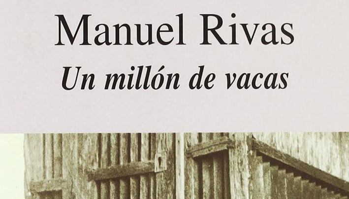 Qué libros regalar de Galicia y en gallego: Un millón de vacas. Manuel Rivas